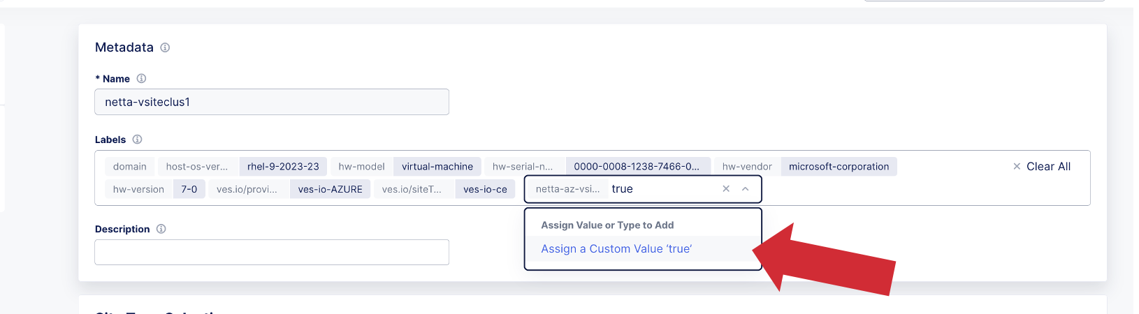 ../_images/add-value.png