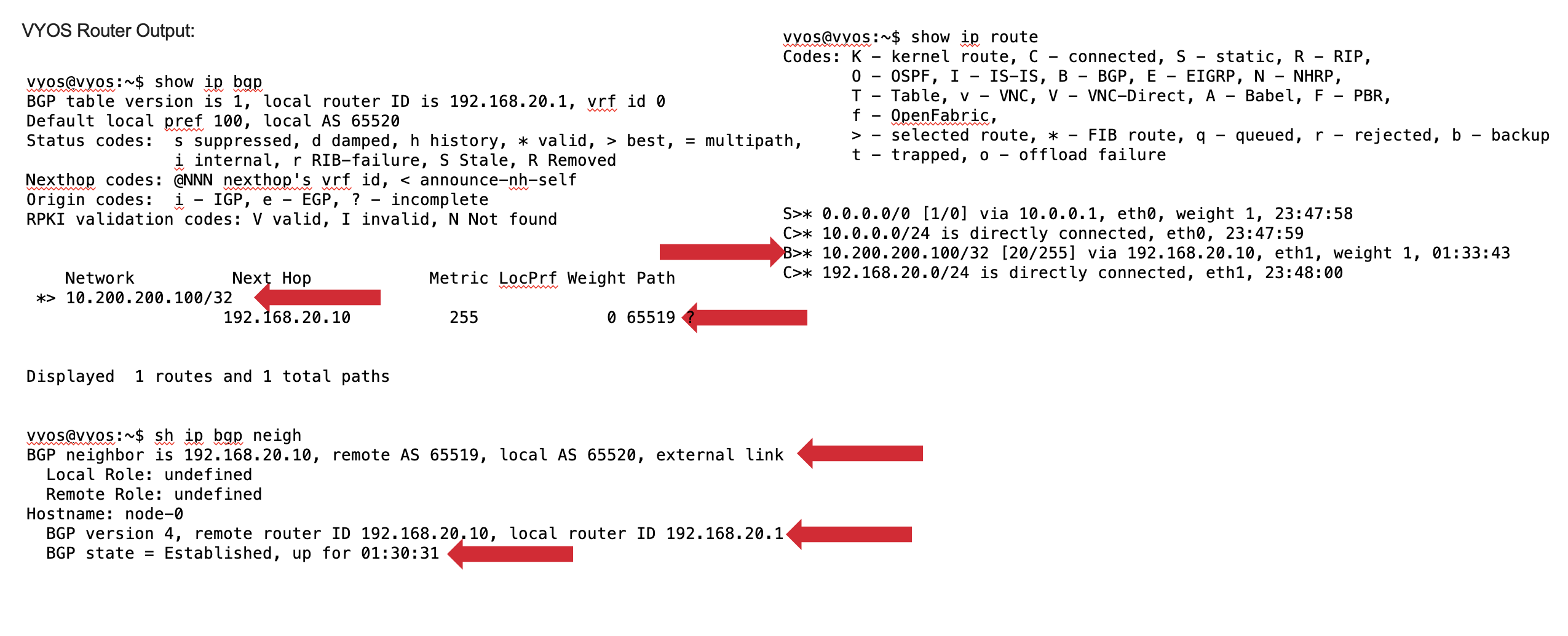 ../_images/bgp_vyos_output.png