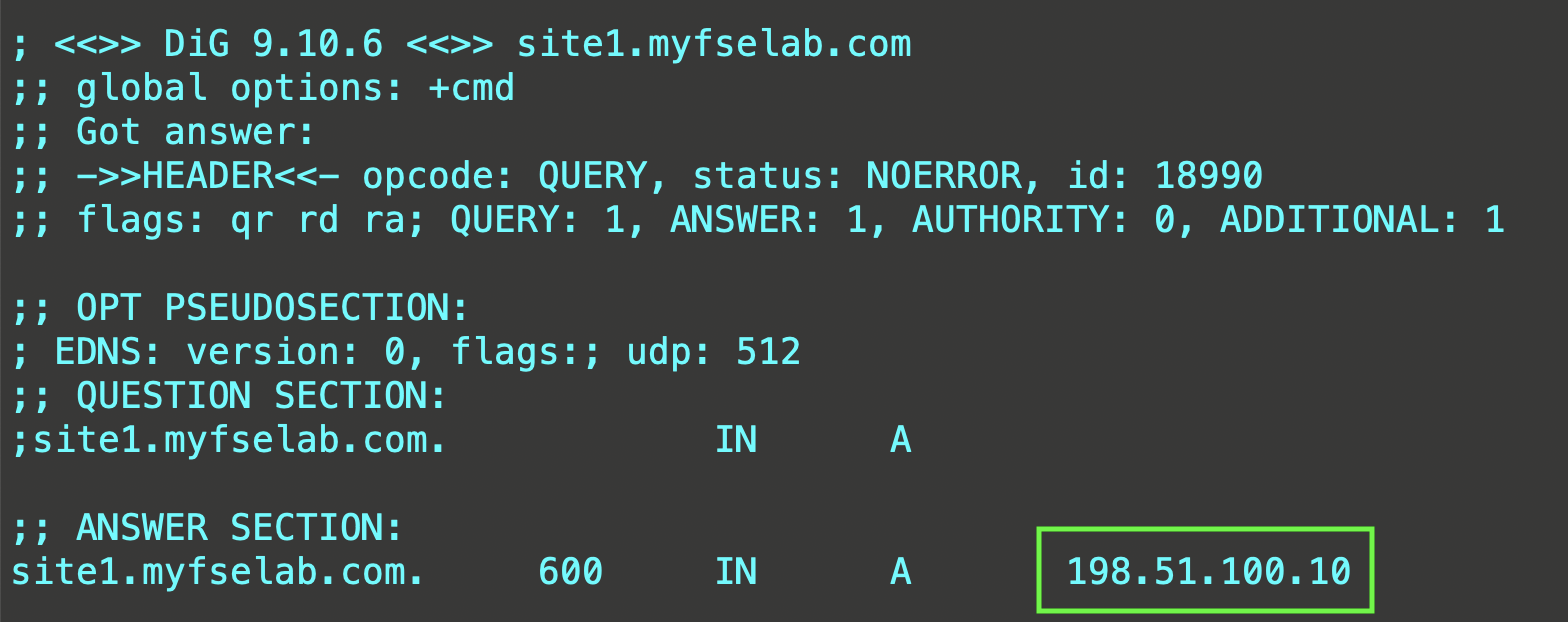 site1.myfselab.com DNS